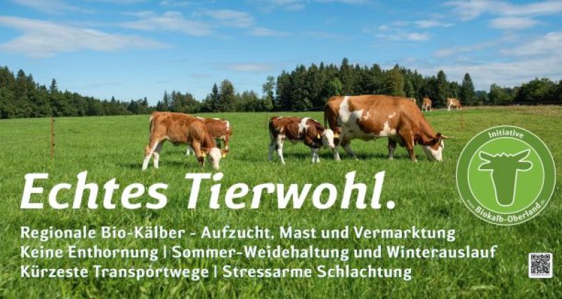 carousel